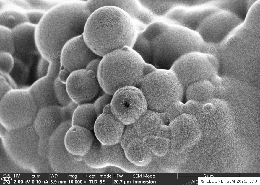 SEM de uma amostra de produção de microesferas de PLLA · 10,000×