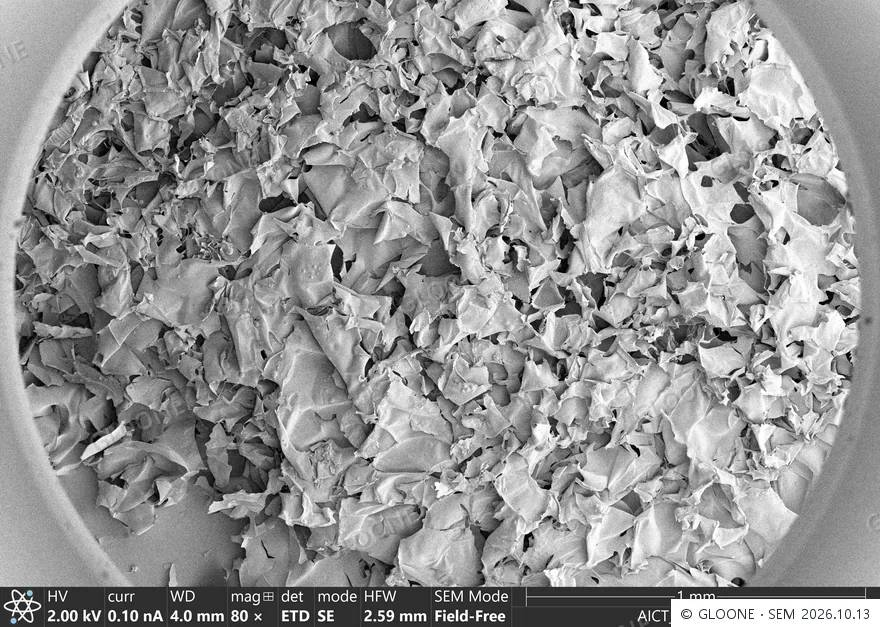 SEM de uma amostra de produção de microesferas de PLLA · 80×