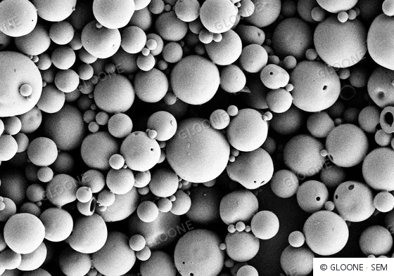 Microesferas de PLLA · SEM